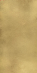 Плитка Italon Континуум Брасс Голд Шлифованный арт. 610015000645 (80x160x0,9)